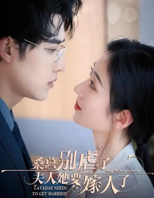 我们的第十年都市情感剧集在线观看封面